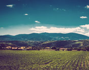 【售后服务】贴心的短信免费轰炸网页入口